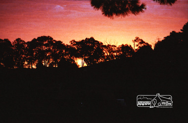 Photograph, Spring Excursion, Hume and Hovell bus tour Stage 2, Seymour, Benalla; 26 Oct 1997, 26/10/1997