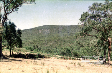 Photograph, Probably Kangaroo Ground, c.1979, 1979c
