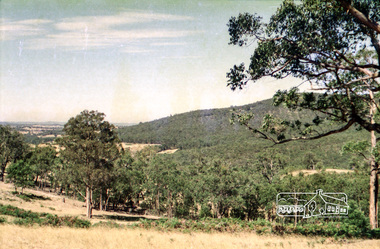 Photograph, Probably Kangaroo Ground, c.1979, 1979c