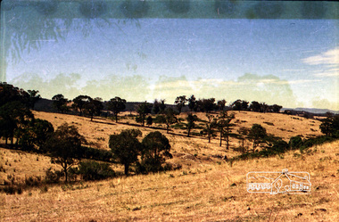 Photograph, Probably Kangaroo Ground, c.1979, 1979c