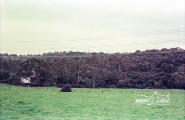Photograph, Believed to be in the region of Cleveland Avenue, Lower Plenty, c.1980s, 1980s