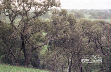 Photograph, Believed to be in the region of Cleveland Avenue, Lower Plenty, c.1980s, 1980s