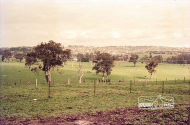 Photograph, Believed to be in the region of Cleveland Avenue, Lower Plenty, c.1980s, 1980s