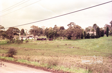 Photograph, Believed to be in the region of Cleveland Avenue, Lower Plenty, c.1980s, 1980s