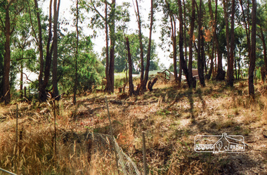 Photograph, Vacant land, probably near Pitt Street, Eltham
