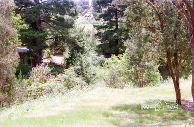 Photograph, Mannish Road, Wattle Glen, c.1989, 1989c