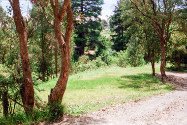 Photograph, Mannish Road, Wattle Glen, c.1989, 1989c
