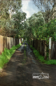 Photograph, Vacant land at 816 Heidelberg-Kinglake Road, Hurstbridge, c.1980, 1980c