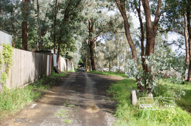 Photograph, Vacant land at 816 Heidelberg-Kinglake Road, Hurstbridge, c.1980, 1980c