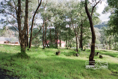 Photograph, Vacant land at 816 Heidelberg-Kinglake Road, Hurstbridge, c.1980, 1980c