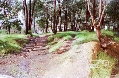 Photograph, Vacant land at 816 Heidelberg-Kinglake Road, Hurstbridge, c.1980, 1980c