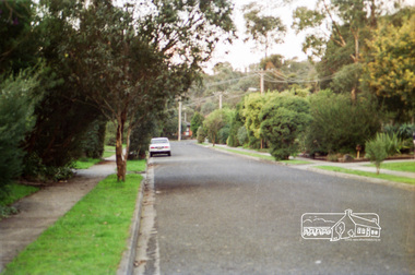 Photograph, Looking towards No. 2 Robert Street from Petrie Park, Montmorency