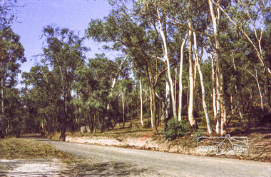 Negative - Photograph, Homestead Road, Eltham Lower Park, c.Mar. 1983
