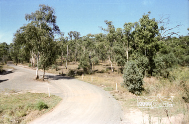 Negative - Photograph, Hohne's Hill, Homestead Road, Eltham Lower Park, c.Mar. 1983