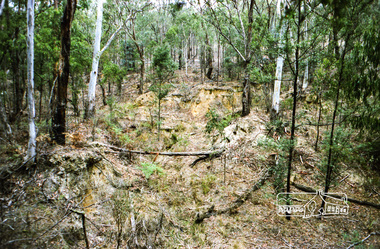 Photograph, Russell Yeoman, Kinglake National Park