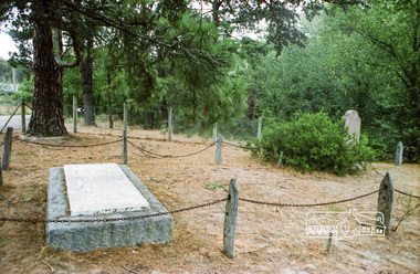 Photograph, Russell Yeoman, Hurst family cemetery, Hurstbridge