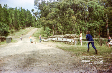 Photograph, Russell Yeoman, Orienteering