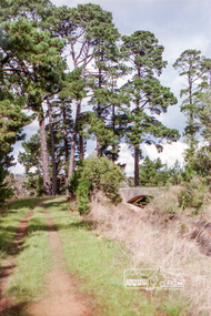 Photograph, Ingrams Road Bridge over Aqueduct, Research, c. Jan 1986, January 1986