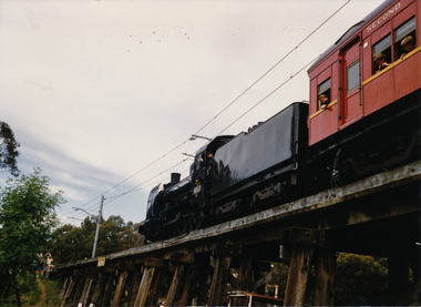 Photograph, Steam and electric trains on the the Trestle Bridge at Eltham, Nov 1992, 1992