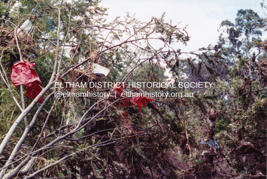 Photograph, Cleaning up after Diamond Creek flooding, Eltham, Feb 2005, 2005