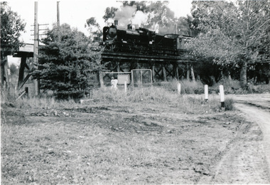 Photograph, Steam Trains at Eltham, c.1960s, 1960s