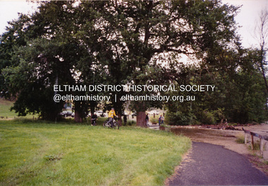 Photograph, Diamond Creek in flood, Eltham, 13 Nov 2004, 13/11/04