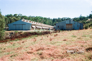 Photograph, Chook farm, 340 Henley Road, Kangaroo Ground