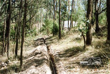 Photograph, Chook farm, 340 Henley Road, Kangaroo Ground
