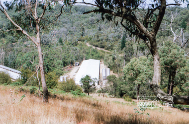 Photograph, Chook farm, 340 Henley Road, Kangaroo Ground