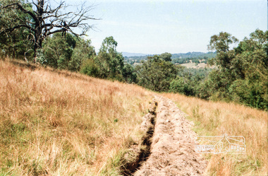 Photograph, Chook farm, 340 Henley Road, Kangaroo Ground