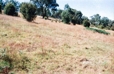 Photograph, Chook farm, 340 Henley Road, Kangaroo Ground