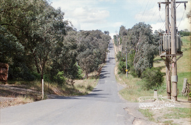 Photograph, Reynolds Road, Research and the power transmission line easement running between Diosma Road and Main Road, Eltham