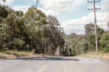 Photograph, Reynolds Road, Research and the power transmission line easement running between Diosma Road and Main Road, Eltham