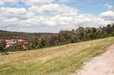 Photograph, Reynolds Road, Research and the power transmission line easement running between Diosma Road and Main Road, Eltham