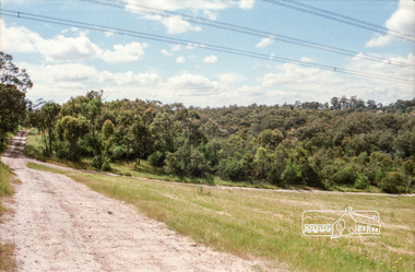 Photograph, Reynolds Road, Research and the power transmission line easement running between Diosma Road and Main Road, Eltham