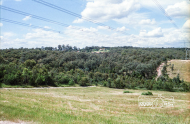 Photograph, Reynolds Road, Research and the power transmission line easement running between Diosma Road and Main Road, Eltham