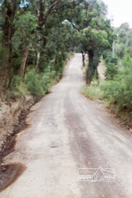 Photograph, Reynolds Road, Research and the power transmission line easement running between Diosma Road and Main Road, Eltham