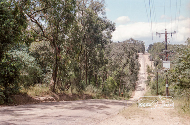 Photograph, Reynolds Road, Research and the power transmission line easement running between Diosma Road and Main Road, Eltham