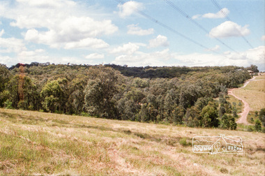 Photograph, Reynolds Road, Research and the power transmission line easement running between Diosma Road and Main Road, Eltham