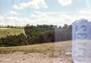 Photograph, Reynolds Road, Research and the power transmission line easement running between Diosma Road and Main Road, Eltham