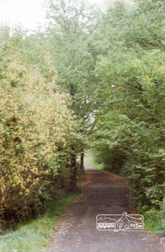 Photograph, Wingrove Park Trail, Eltham