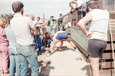 Photograph, Paving course at the childcare co-op run by Eltham Living and Learning Centre, c.1982-1986