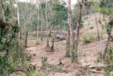 Photograph, Clearing Manuka Road, Panton Hill, April 1987, April 1987