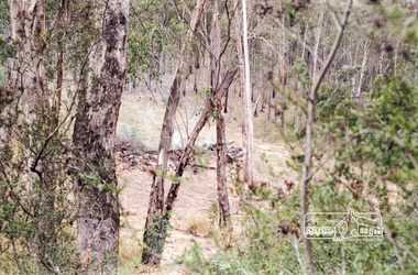 Photograph, Clearing Manuka Road, Panton Hill, April 1987, April 1987