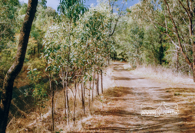 Photograph, Maroondah Aqueduct trail west of Parsons Road, Eltham, 1991, 1991