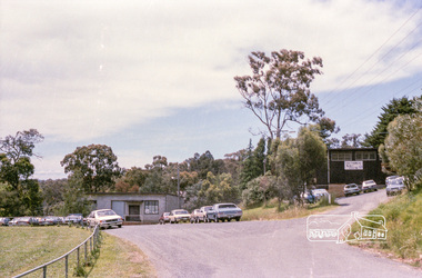 Photograph, Marjorie North, Montmorency Pigeon Club, Petrie Park, Montmorency, Dec 1985, 1985