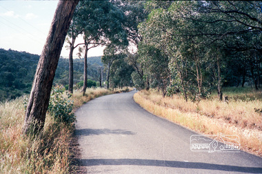 Photograph, Eltham Shire Roads, probably Hurstbridge