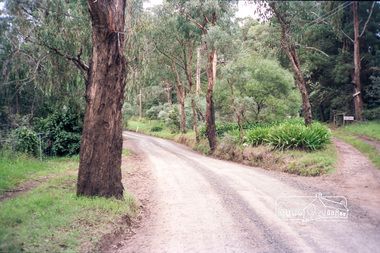 Photograph, Sweeneys property, 12 Sweeneys Lane, Eltham