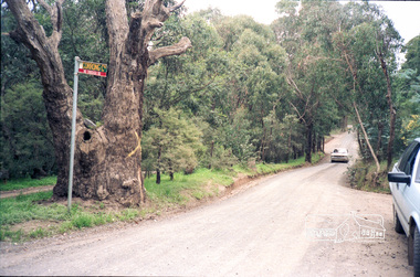 Photograph, Looking along Sweeneys Lane at intersection with Corrong Court, Eltham