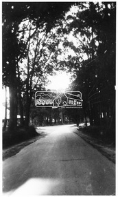Photograph, "Lovers' Walk", Kinglake, 1960s